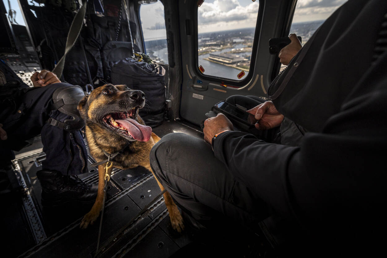 Een hijgende herdershond zit in de heli en kijkt naar zijn baas.
