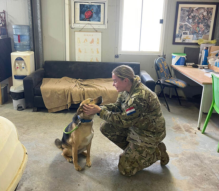 Militair Mandy zit op een knie en geeft een hond een liefdevolle aai over de bol.