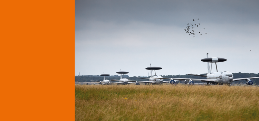 Vier grote, witte vliegtuigen met ronde radars bovenop staan op een startbaan in het veld, terwijl vogels boven vliegen tegen een grijsbewolkte lucht.