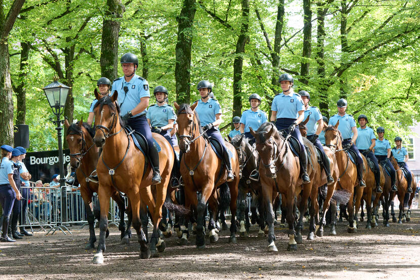 Ruiters van de Koninklijke Marechaussee tijdens voorbereidingen op Prinsjesdag.