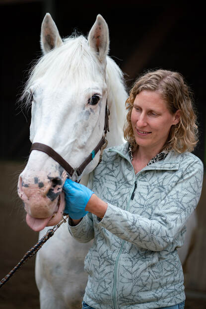 Een hoofd van een spierwit paard met daarnaast een vrouw met blond halflang haar die een speekselmonster bij het paard afneemt.