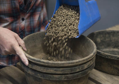 Een bak vol paardenbiks.