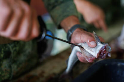 Een vissende militair en een vis die gefileerd wordt.