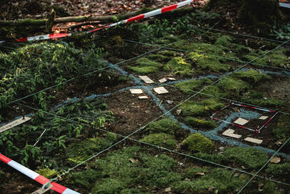 Militairen lopen door Duitsland. Een geïmproviseerde boskaart.